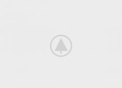 - wood-gallery-placeholder-5 - Realhomes  Home Decor Realhomes