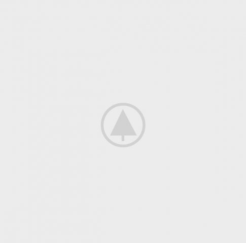 - wood-gallery-placeholder-5 - Realhomes Home Flowers Realhomes