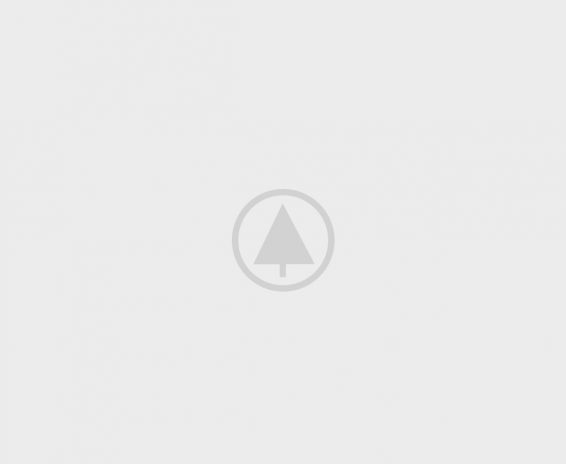 - wood-portfolio-placeholder - Realhomes  Home organic Realhomes