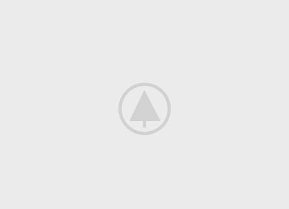 - wood-portfolio-placeholder - Realhomes Home Sport Realhomes