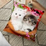 Çilek Sepeti Desenli Özel Tasarım Dijital Baskılı Yer Minderi - 70 x 70 cm Realhomes