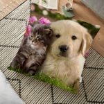 Osmanlı Desen Dijital Baskılı Dekoratif Yer Minderi - 70 x 70 cm Realhomes