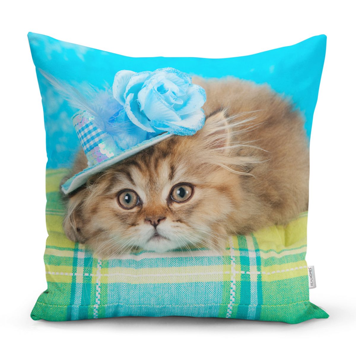 Mavi Şapkalı Kedi Desenli Modern Kırlent Kılıfı Realhomes