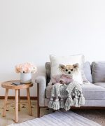 Sevimli Köpek Desenli Dijital Baskılı Modern Raşel Kadife Yastık Kırlent Kılıfı Realhomes