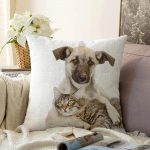 - Sonil-K-5611-Gorsel1 - Realhomes  Köpek ve Kedili Dijital Baskılı Modern Raşel Kadife Yastık Kırlent Kılıfı Realhomes