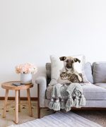 - Sonil-K-5611-Gorsel2 - Realhomes  Köpek ve Kedili Dijital Baskılı Modern Raşel Kadife Yastık Kırlent Kılıfı Realhomes