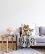 - Sonil-K-5614-Gorsel2 - Realhomes  Sevimli Köpekler Dijital Baskılı Modern Raşel Kadife Yastık Kırlent Kılıfı Realhomes