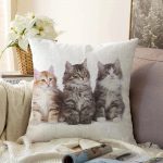 Sevimli Kediler Desenli Dijital Baskılı Modern Raşel Kadife Yastık Kırlent Kılıfı Realhomes