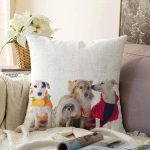 - Sonil-K-5619-Gorsel1 - Realhomes  Çeşitli Köpek Desenli Dijital Baskılı Modern Raşel Kadife Yastık Kırlent Kılıfı Realhomes