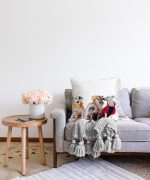 - Sonil-K-5619-Gorsel2 - Realhomes  Çeşitli Köpek Desenli Dijital Baskılı Modern Raşel Kadife Yastık Kırlent Kılıfı Realhomes