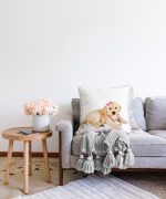 - Sonil-K-5620-Gorsel2 - Realhomes Sevimli Köpek Desenli Dijital Baskılı Modern Raşel Kadife Yastık Kırlent Kılıfı Realhomes