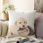 - Sonil-K-5622-Gorsel1 - Realhomes  Köpek ve Kedili Dijital Baskılı Modern Raşel Kadife Yastık Kırlent Kılıfı Realhomes