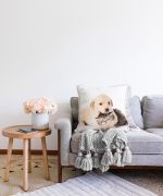 - Sonil-K-5622-Gorsel2 - Realhomes  Köpek ve Kedili Dijital Baskılı Modern Raşel Kadife Yastık Kırlent Kılıfı Realhomes