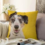 Sevimli Köpek Desenli Dijital Baskılı Modern Raşel Kadife Yastık Kırlent Kılıfı Realhomes