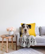 Sevimli Köpek Desenli Dijital Baskılı Modern Raşel Kadife Yastık Kırlent Kılıfı Realhomes