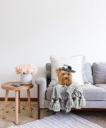 - Sonil-K-5640-Gorsel2 - Realhomes  Sevimli Köpek Desenli Dijital Baskılı Modern Raşel Kadife Yastık Kırlent Kılıfı Realhomes