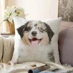 - Sonil-K-5653-Gorsel1 - Realhomes  Sevimli Köpek Desenli Dijital Baskılı Modern Raşel Kadife Yastık Kırlent Kılıfı Realhomes