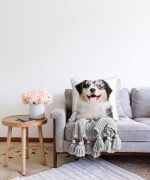 - Sonil-K-5653-Gorsel2 - Realhomes  Sevimli Köpek Desenli Dijital Baskılı Modern Raşel Kadife Yastık Kırlent Kılıfı Realhomes