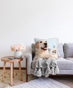 - Sonil-K-5654-Gorsel2 - Realhomes Köpek ve Kedili Dijital Baskılı Modern Raşel Kadife Yastık Kırlent Kılıfı Realhomes
