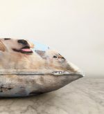 - Sonil-K-5654-Gorsel3 - Realhomes Köpek ve Kedili Dijital Baskılı Modern Raşel Kadife Yastık Kırlent Kılıfı Realhomes