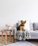 - Sonil-K-5655-Gorsel2 - Realhomes  Sevimli Köpek Desenli Dijital Baskılı Modern Raşel Kadife Yastık Kırlent Kılıfı Realhomes