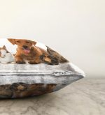 - Sonil-K-5665-Gorsel3 - Realhomes  Tavşan-Kedi-Köpek Desenli Dijital Baskılı Modern Raşel Kadife Yastık Kırlent Kılıfı Realhomes