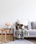 Sevimli Köpek ve Kedi Desenli Sevimli Modern Raşel Kadife Yastık Kırlent Kılıfı Realhomes