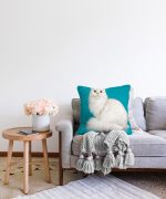 - Sonil-K-5678-Gorsel2 - Realhomes Mavi Zeminde Beyaz Kedi Desenli Modern Raşel Kadife Yastık Kırlent Kılıfı Realhomes