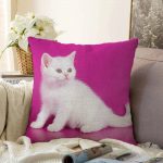 - Sonil-K-5697-Gorsel1 - Realhomes  Sevimli Kedi Desenli Dijital Baskılı Modern Raşel Kadife Yastık Kırlent Kılıfı Realhomes