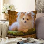 - Sonil-K-5710-Gorsel1 - Realhomes  Sevimli Köpek Desenli Dijital Baskılı Modern Raşel Kadife Yastık Kırlent Kılıfı Realhomes