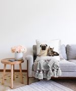 - Sonil-K-5715-Gorsel2 - Realhomes  Sevimli Köpek ve Kedi Desenli Sevimli Modern Raşel Kadife Yastık Kırlent Kılıfı Realhomes