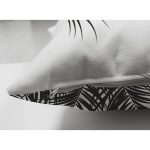 Çift Taraflı Beyaz Zemin Üzerinde Siyah Yaprak Desenli Süet Yastık Kırlent Kılıfı Realhomes