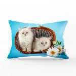 Kedili Dijital Baskılı Dekoratif Dikdörtgen Dikdörtgen Yastık Kırlent Kılıfı Realhomes