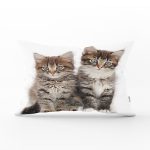 Sevimli Tekir Kedicikler Modern Dikdörtgen Yastık Kılıfı Realhomes