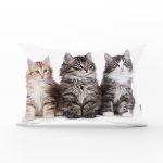 Sevimli Kediler Desenli Dijital Baskılı Modern Dikdörtgen Yastık Kırlent Kılıfı Realhomes