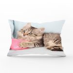 Sevimli Kedi Desenli Dijital Baskılı Modern Dikdörtgen Yastık Kırlent Kılıfı Realhomes