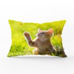 Sevimli Kedi Desenli Dijital Baskılı Modern Dikdörtgen Yastık Kırlent Kılıfı Realhomes