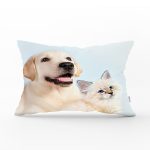 Köpek ve Kedili Dijital Baskılı Modern Dikdörtgen Yastık Kırlent Kılıfı Realhomes