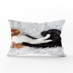 Köpek ve Kedili Dijital Baskılı Modern Dikdörtgen Yastık Kırlent Kılıfı Realhomes