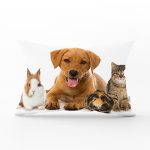 Tavşan-Kedi-Köpek Desenli Dijital Baskılı Modern Dikdörtgen Yastık Kırlent Kılıfı Realhomes