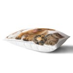 Tavşan-Kedi-Köpek Desenli Dijital Baskılı Modern Dikdörtgen Yastık Kırlent Kılıfı Realhomes