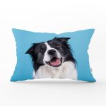 Mavi Zeminde Sevimli Köpek Baskılı Modern Dikdörtgen Yastık Kırlent Kılıfı Realhomes