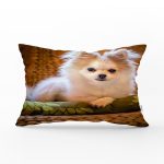 - Rh-Dik-5710-Gorsel1 - Realhomes Sevimli Köpek Desenli Dijital Baskılı Modern Dikdörtgen Yastık Kırlent Kılıfı Realhomes