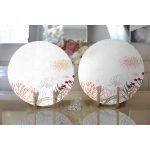 - Supla2li-7374-Gorsel2 - Realhomes  Realhomes Beyaz Zemin Üzerinde Onedraw Çizimli Yaprak Motifli 2'li Yuvarlak Servis Altlığı - Supla Realhomes