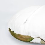 4'lü Beyaz Zemin Üzerinde Sonbahar Yaprağı Desenli Modern Yuvarlak Yastık Kırlent Kılıf Seti Realhomes