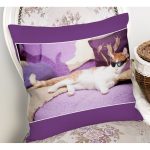 Gözlüklü Kedi Desenli Dijital Baskılı Modern Yastık Kırlent Kılıfı Realhomes