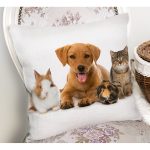 - Rh-K5665-1 - Realhomes  Tavşan-Kedi-Köpek Desenli Dijital Baskılı Modern Yastık Kırlent Kılıfı Realhomes