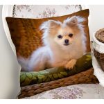 - Rh-K5710-1 - Realhomes  Sevimli Köpek Desenli Dijital Baskılı Modern Yastık Kırlent Kılıfı Realhomes