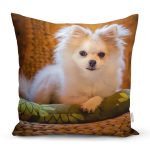 - Rh-K5710 - Realhomes  Sevimli Köpek Desenli Dijital Baskılı Modern Yastık Kırlent Kılıfı Realhomes