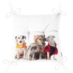 - Pofi-5619-Gorsel-2 - Realhomes Çeşitli Köpek Desenli Dijital Baskılı Modern Pofuduk Sandalye Minderi Realhomes